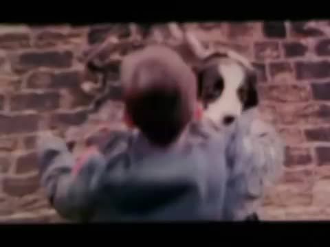 Őrangyal a jövőből