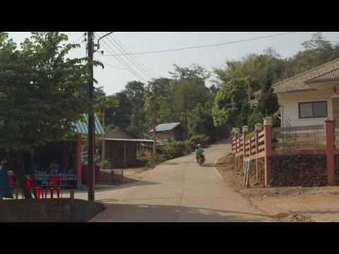 Voices from the Fire