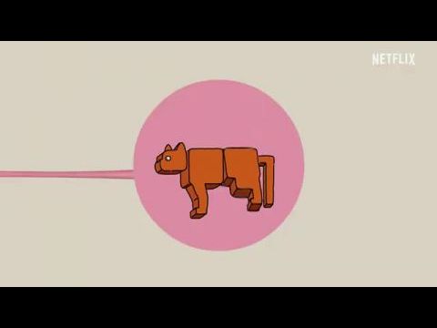 Mit gondolnak a macskák