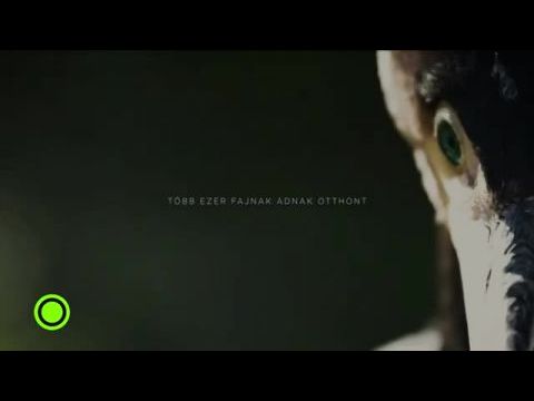 Vad Víz: Múlt és jelen