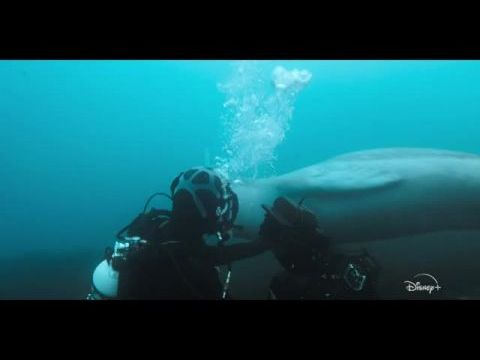 Fantasztikus kalandok Bertie Gregoryval