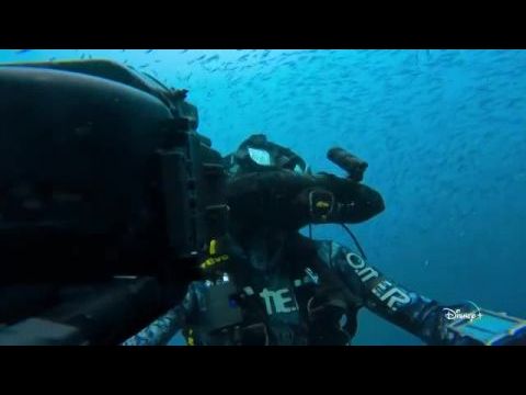 Az állatok világa Bertie Gregoryval