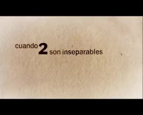 Castillos de cartón