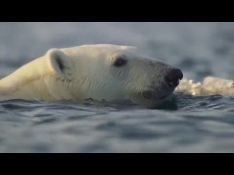 Óceánkutatók - 1. évad