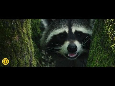 Bambi – Egy élet az erdőben