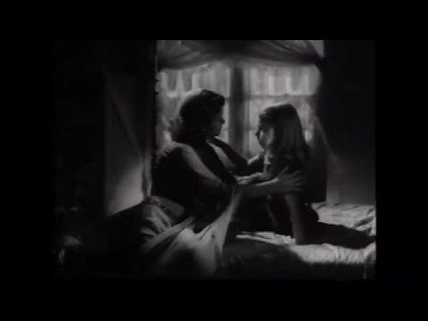 A macskaemberek átka