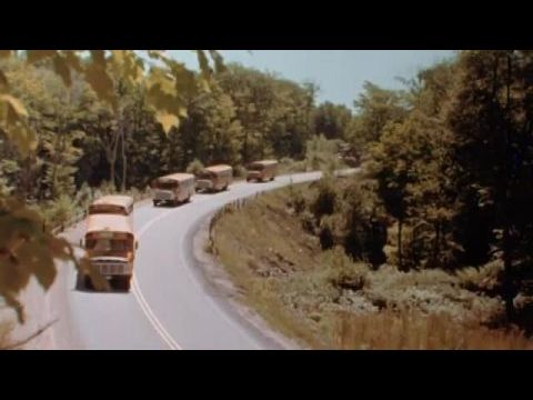 Dilibogyók - Táborparádé