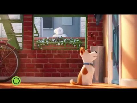 A kis kedvencek titkos élete