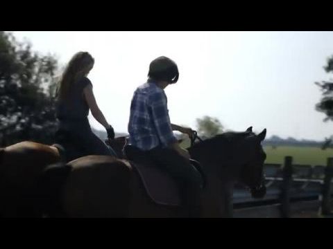 Von Mädchen und Pferden