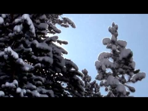 A fagy birodalma (Sarkvidéki hősök)