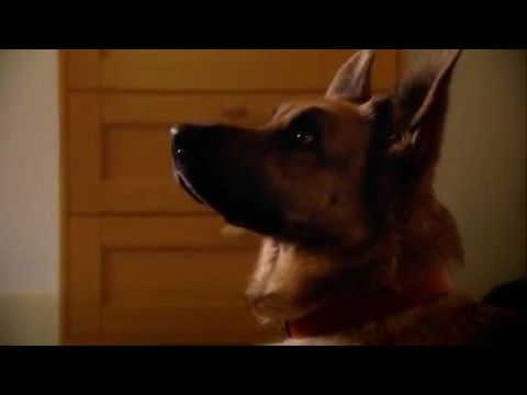 Sniff és a szellemkastély