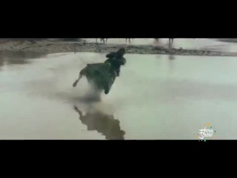 A cigánytábor az égbe megy