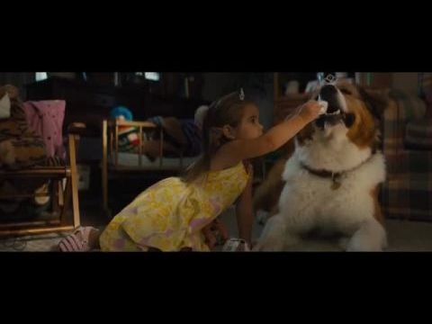 Egy kutya négy útja