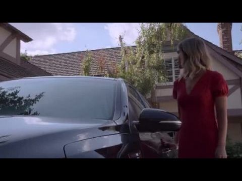 The Wrong Housesitter