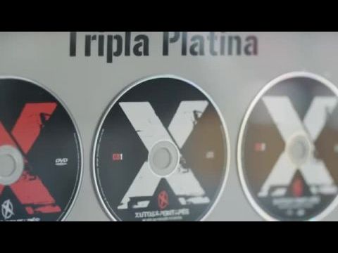 Zé Pedro Rock'n'Roll