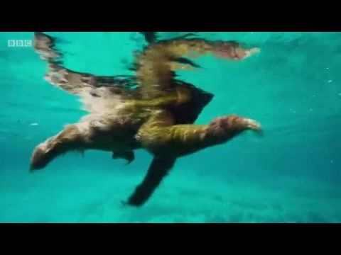 Planet Earth: A Celebration