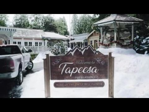 Egyedülálló karácsonyi virág