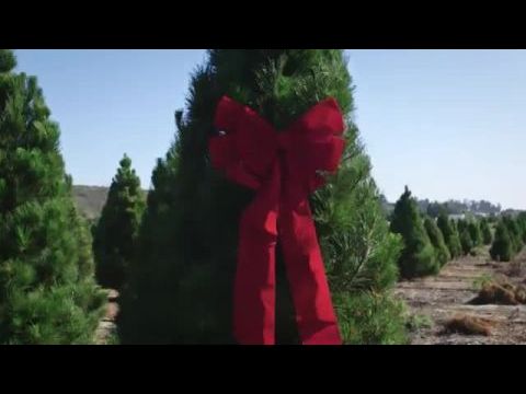 Karácsonyi esküvő