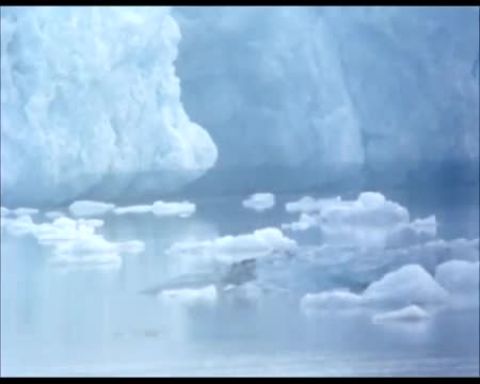 A jégsziget foglyai