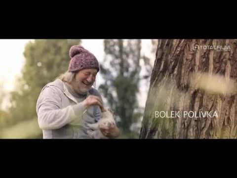 Gump - A kutya, aki megtanította az embereket élni