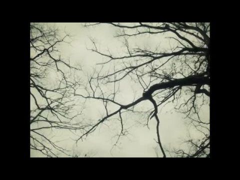 Climate of the Hunter