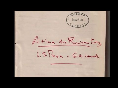 Os Ruminantes