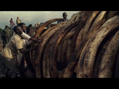 Anthropocene: The Human Epoch