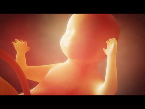 Extraordinary: The Seeding