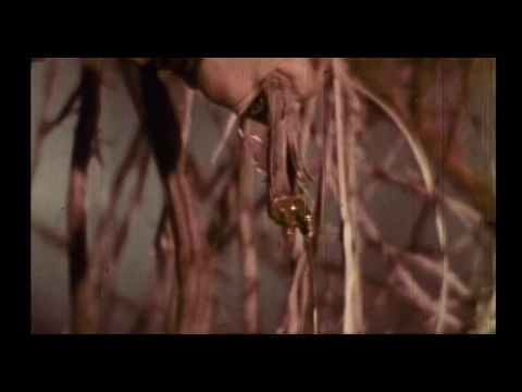 Ercole al centro della Terra