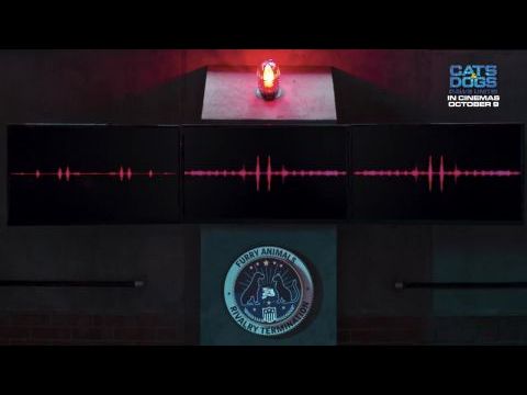 Kutyák és macskák 3