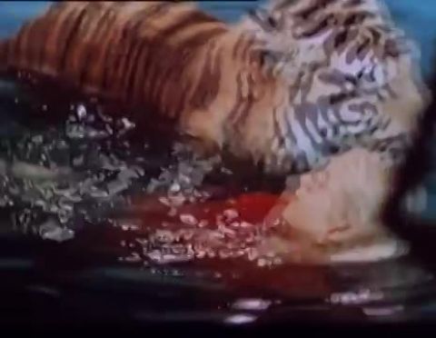 Vadállatok a fedélzeten