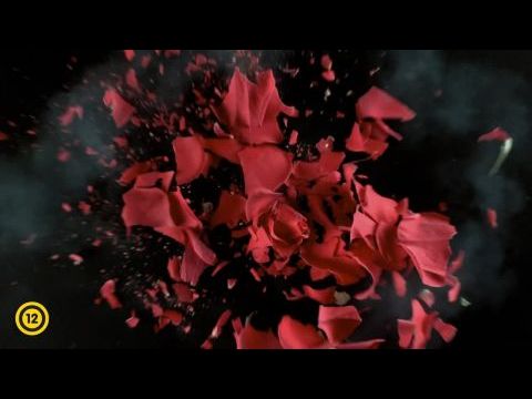 A művészet templomai: Frida Kahlo