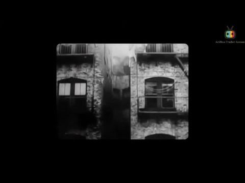 Stuntwomen: The Untold Hollywood Story