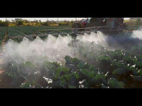 Becsüld meg a földet