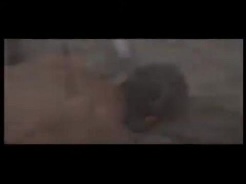 El Alamein - A tűzvonal