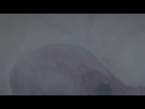 The Girl in the Woods