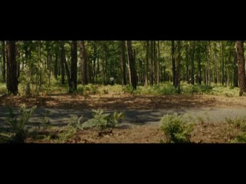 Kopogás a kunyhóban