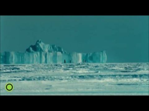 Pingvinek vándorlása