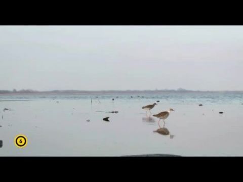 Tisza-tó, az ember alkotta paradicsom
