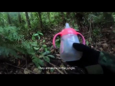 Negyven nap a dzsungelben