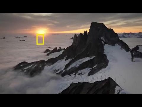 A delfinek világa Bertie Gregoryval 