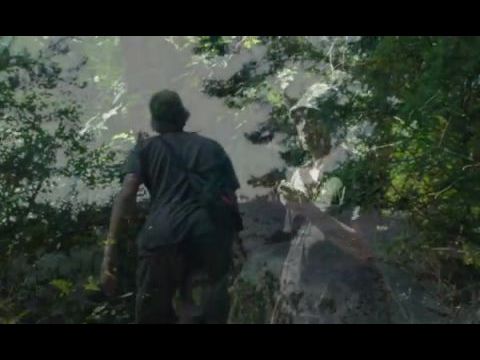 A Welcome Distraction