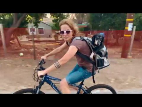 All The Walls Came Down