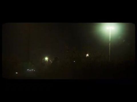 Thanks to the Hard Work of the Elephants