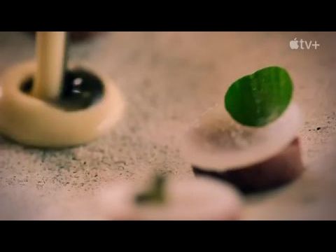 Knife Edge: Chasing Michelin Stars