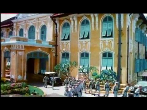 A fekete tigris könnyei