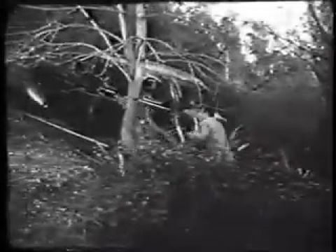 A szörny menyasszonya