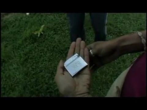 A dzsungel árnyékában