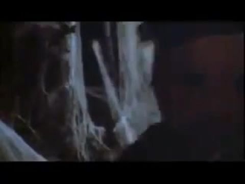 Farkasok társasága