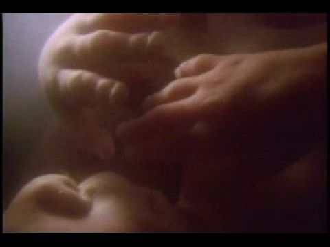Flight from Death: The Quest for Immortality